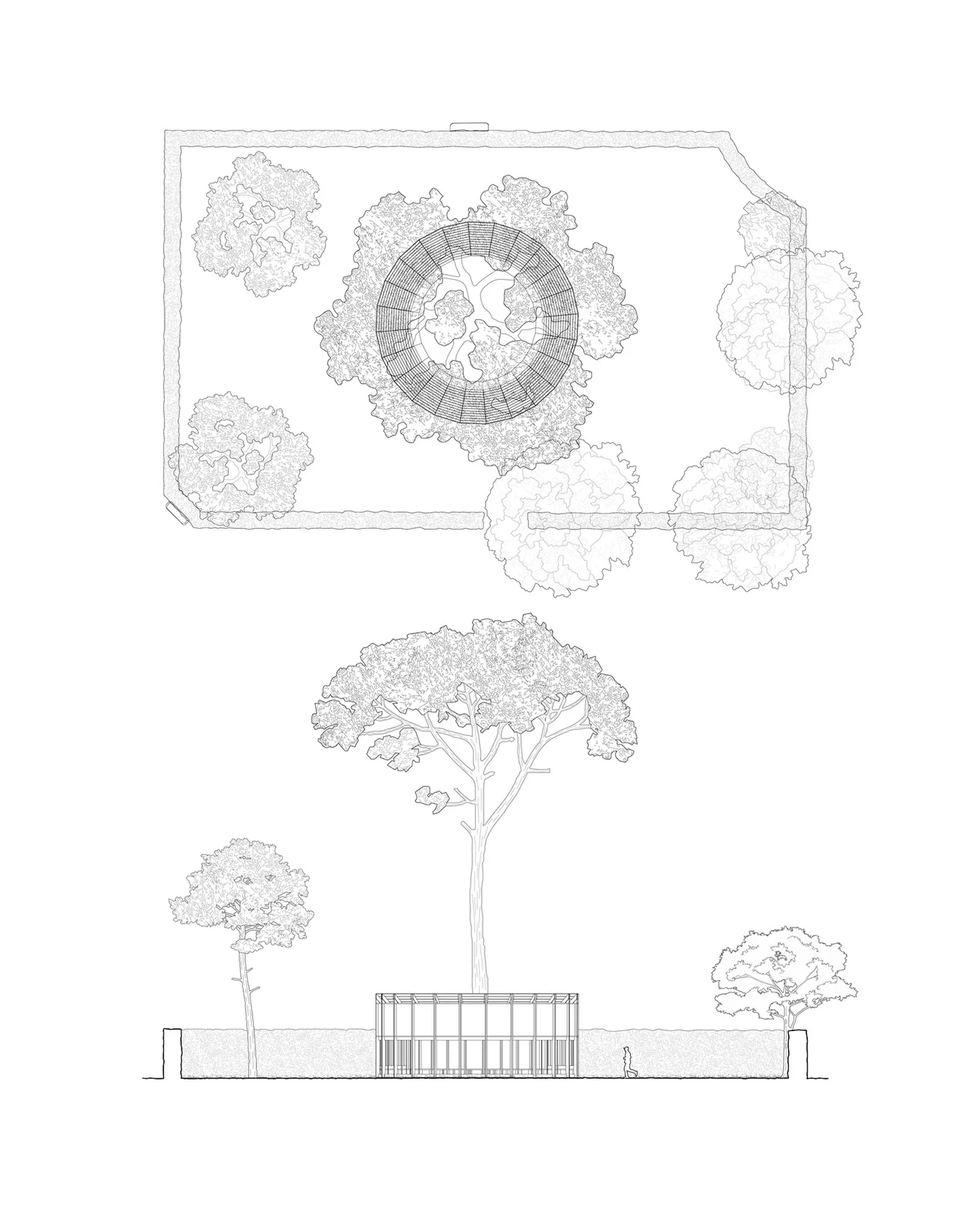 Plan de masse et coupe du terrain